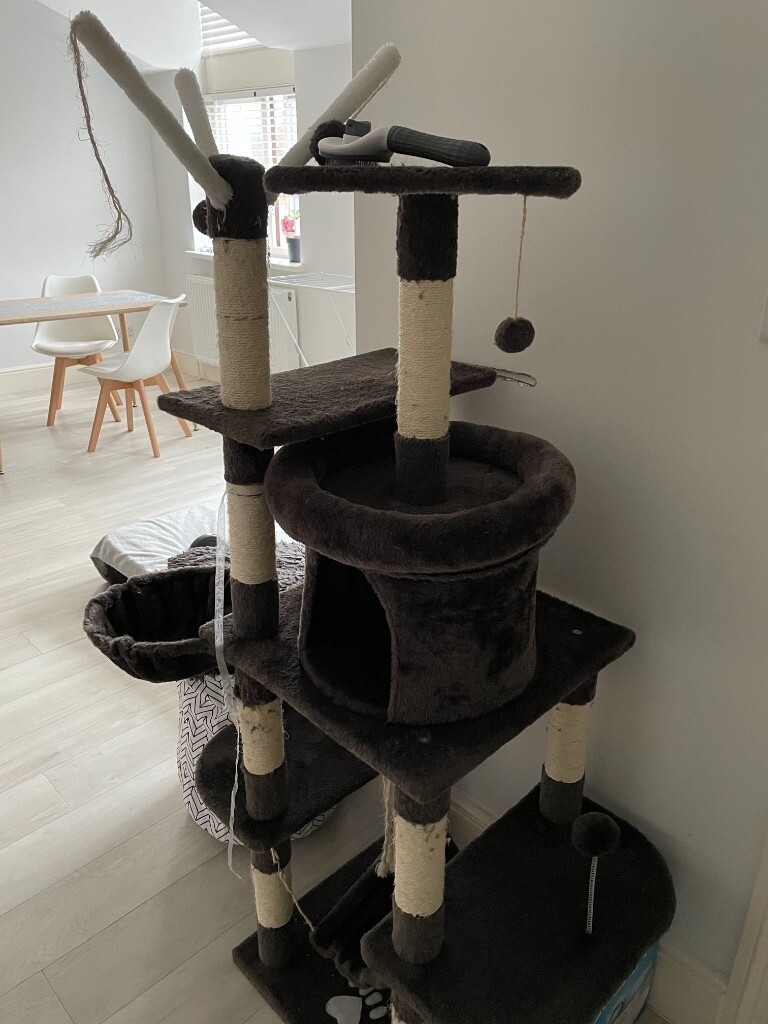 boling cat tree